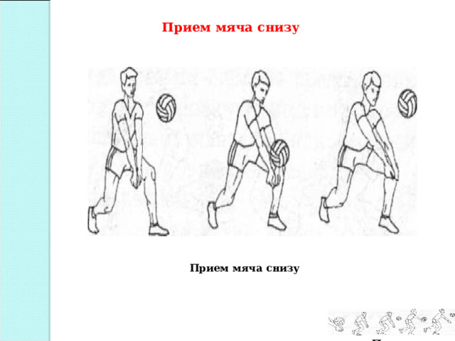 Прием мяча снизу Прием мяча снизу Прием подачи 
