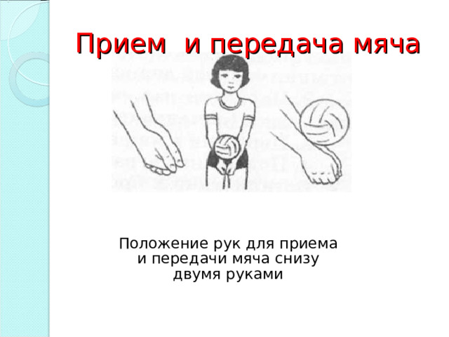Прием и передача мяча Положение рук для приема и передачи мяча снизу двумя руками 