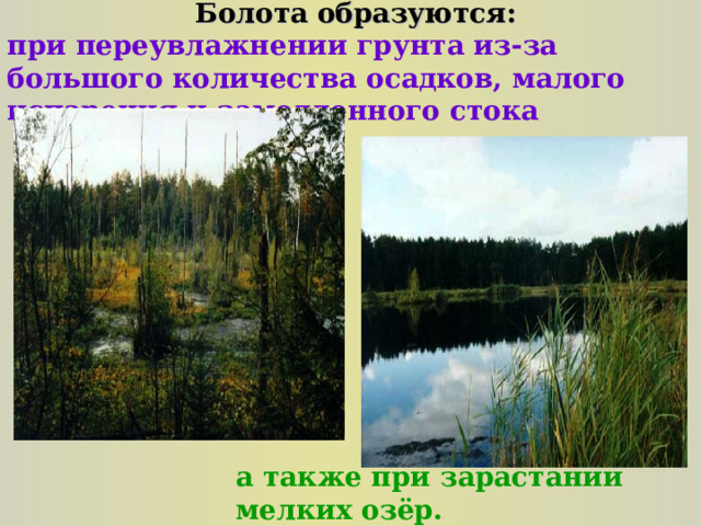 Болота образуются: при переувлажнении грунта из-за большого количества осадков, малого испарения и замедленного стока а также при зарастании мелких озёр.  