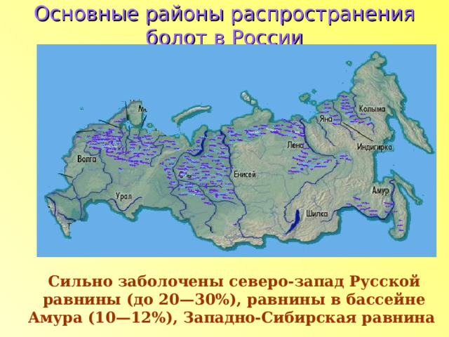 Основные районы распространения болот в России Сильно заболочены северо-запад Русской равнины (до 20—30%), равнины в бассейне Амура (10—12%), Западно-Сибирская равнина 