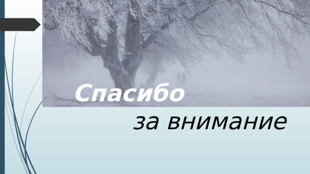 Спасибо  за внимание 