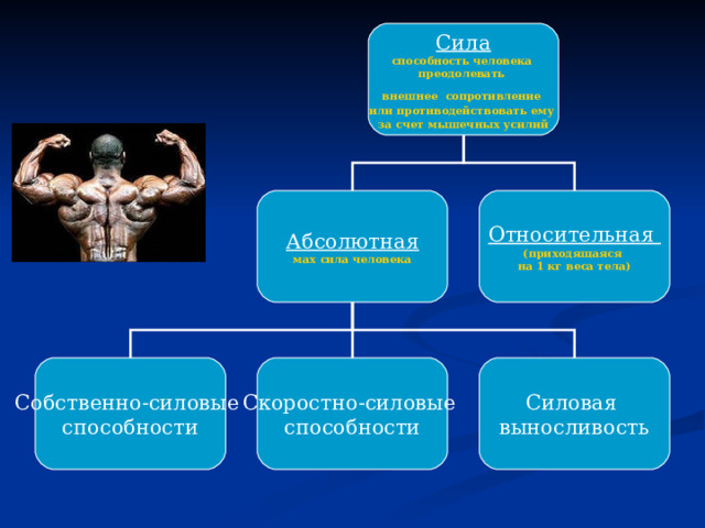 Сила способность человека преодолевать внешнее  сопротивление или противодействовать ему за счет мышечных усилий Абсолютная Относительная мах сила человека (приходящаяся на 1 кг веса тела) Собственно-силовые способности Скоростно-силовые способности Силовая выносливость 