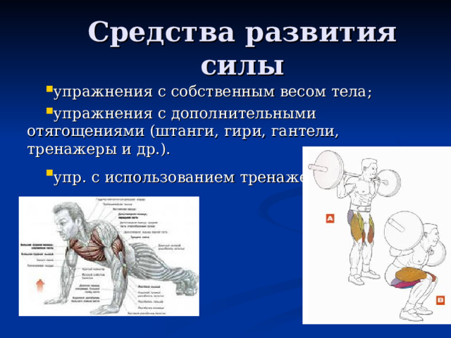 Средства развития силы упражнения с собственным весом тела; упражнения с дополнительными отягощениями (штанги, гири, гантели, тренажеры и др.). упр. с использованием тренажеров 