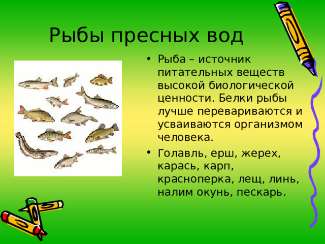 Рыбы пресных вод Рыба – источник питательных веществ высокой биологической ценности. Белки рыбы лучше перевариваются и усваиваются организмом человека. Голавль, ерш, жерех, карась, карп, красноперка, лещ, линь, налим окунь, пескарь. 