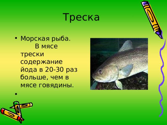 Треска Морская рыба. В мясе трески содержание йода в 20-30 раз больше, чем в мясе говядины. 