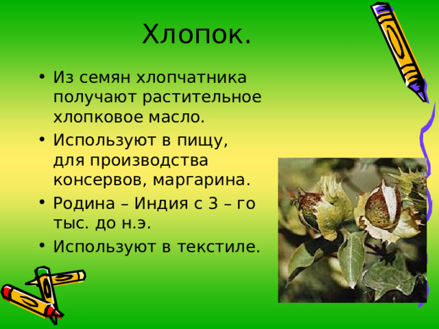 Хлопок. Из семян хлопчатника получают растительное хлопковое масло. Используют в пищу, для производства консервов, маргарина. Родина – Индия с 3 – го тыс. до н.э. Используют в текстиле. 