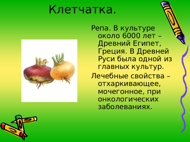 Клетчатка. Репа. В культуре около 6000 лет – Древний Египет, Греция. В Древней Руси была одной из главных культур. Лечебные свойства –отхаркивающее, мочегонное, при онкологических заболеваниях. 