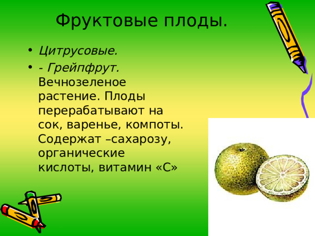 Фруктовые плоды. Цитрусовые. - Грейпфрут. Вечнозеленое растение. Плоды перерабатывают на сок, варенье, компоты. Содержат –сахарозу, органические кислоты, витамин «С»  