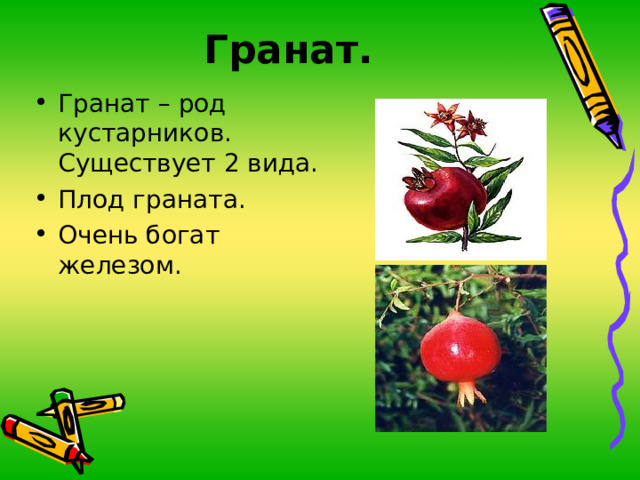 Гранат. Гранат – род кустарников. Существует 2 вида. Плод граната. Очень богат железом. 