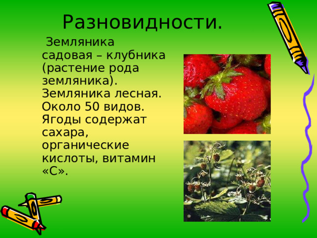 Разновидности.  Земляника садовая – клубника (растение рода земляника). Земляника лесная. Около 50 видов. Ягоды содержат сахара, органические кислоты, витамин «С». 