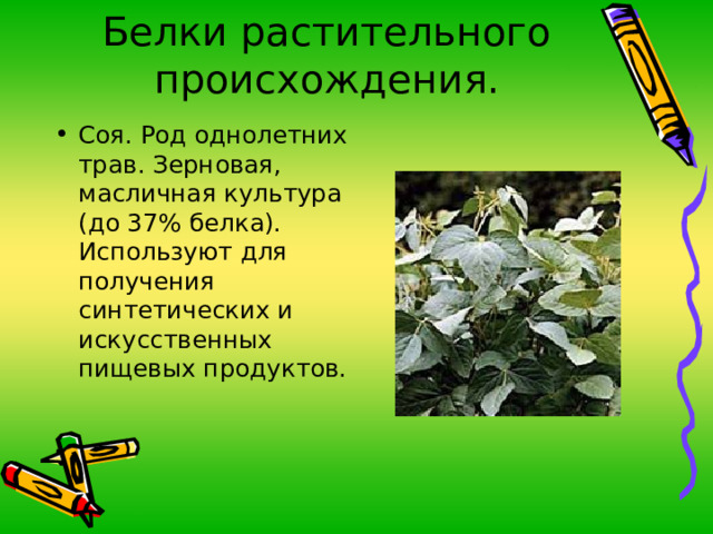 Белки растительного происхождения. Соя. Род однолетних трав. Зерновая, масличная культура (до 37% белка). Используют для получения синтетических и искусственных пищевых продуктов. 