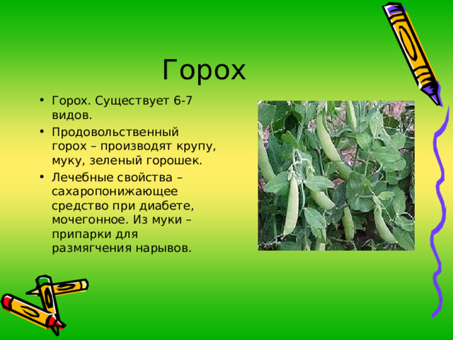 Горох Горох. Существует 6-7 видов. Продовольственный горох – производят крупу, муку, зеленый горошек. Лечебные свойства – сахаропонижающее средство при диабете, мочегонное. Из муки – припарки для размягчения нарывов. 