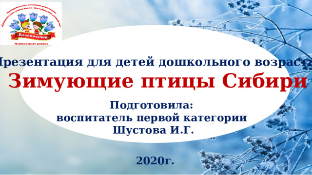 Презентация для детей дошкольного возраста  Зимующие птицы Сибири Подготовила: воспитатель первой категории Шустова И.Г. 2020г. 