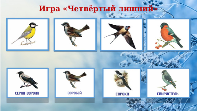 Игра «Четвёртый лишний» 