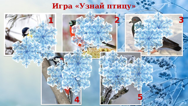 Игра «Узнай птицу» 2 3 2 1 5 4 