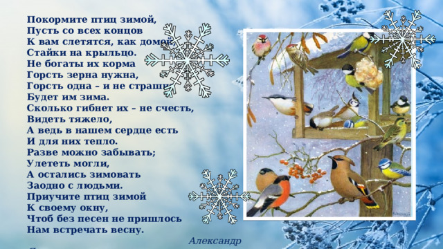 Покормите птиц зимой, Пусть со всех концов К вам слетятся, как домой, Стайки на крыльцо. Не богаты их корма Горсть зерна нужна, Горсть одна – и не страшна Будет им зима. Сколько гибнет их – не счесть, Видеть тяжело, А ведь в нашем сердце есть И для них тепло. Разве можно забывать; Улететь могли, А остались зимовать Заодно с людьми. Приучите птиц зимой К своему окну, Чтоб без песен не пришлось Нам встречать весну.  Александр Яшин 