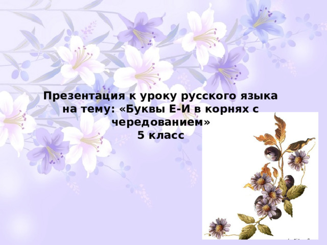 Презентация к уроку русского языка  на тему: «Буквы Е-И в корнях с чередованием»  5 класс   