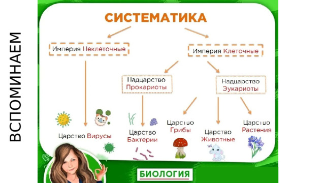 ВСПОМИНАЕМ 
