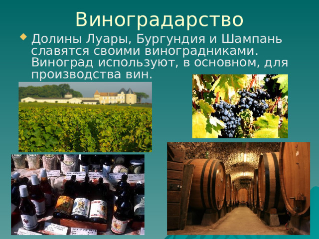 Виноградарство Долины Луары, Бургундия и Шампань славятся своими виноградниками. Виноград используют, в основном, для производства вин. 
