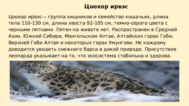    Цоохор ирвэс Цоохор ирвэс— группа хищников и семейство кошачьих, длина тела 110-130 см, длина хвоста 92-105 см, темно-серого цвета с черными пятнами. Пятен на животе нет. Распространен в Средней Азии, Южной Сибири, Монгольском Алтае, Алтайских горах Гоби, Верхней Гоби Алтая и некоторых горах Умунгови. Не каждому доводится увидеть снежного барса в дикой природе. Присутствие леопарда указывает на то, что экосистема стабильна и здорова. 