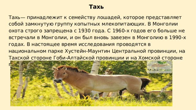      Тахь Тахь— принадлежит к семейству лошадей, которое представляет собой замкнутую группу копытных млекопитающих. В Монголии охота строго запрещена с 1930 года. С 1960-х годов его больше не встречали в Монголии, и он был вновь завезен в Монголию в 1990-х годах. В настоящее время исследования проводятся в национальном парке Хустейн-Маунтин Центральной провинции, на Тахской стороне Гоби-Алтайской провинции и на Хомской стороне провинции Завхан. 