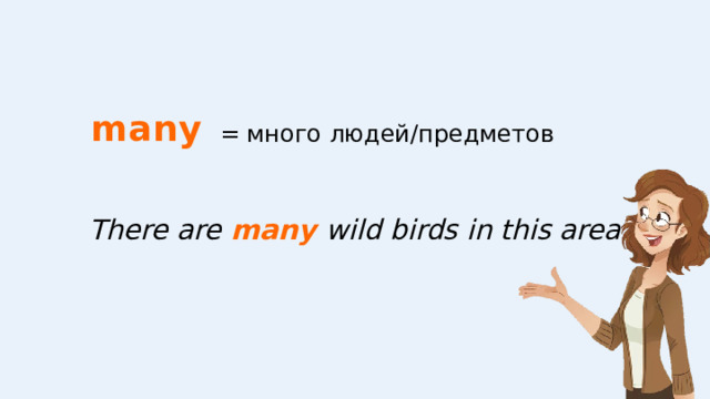 many = много людей/предметов There are many wild birds in this area. 