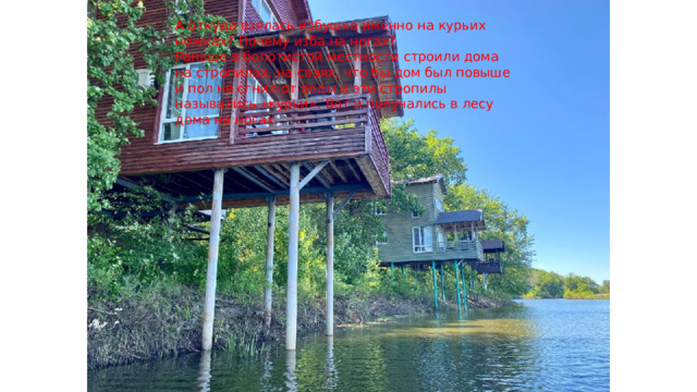 А откуда взялась избушка именно на курьих ножках? Почему изба на ногах? Раньше в болотистой местности строили дома на стропилах, на сваях, что бы дом был повыше и пол не сгнил от воды и эти стропилы назывались «курьи». Вот и получались в лесу дома на ногах. 