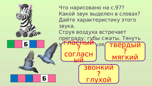 Что нарисовано на с.97? Какой звук выделен в словах? Дайте характеристику этого звука. Струя воздуха встречает преграду: губы сжаты. Тянуть этот звук нельзя. Б твёрдый ? мягкий гласный ? согласный звонкий ? глухой  Б 
