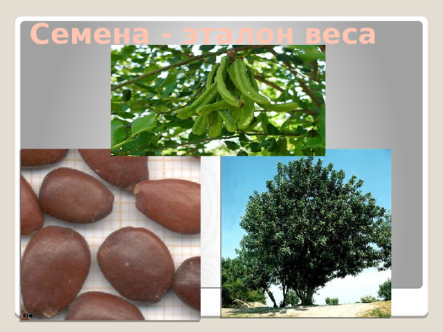 Семена - эталон веса 