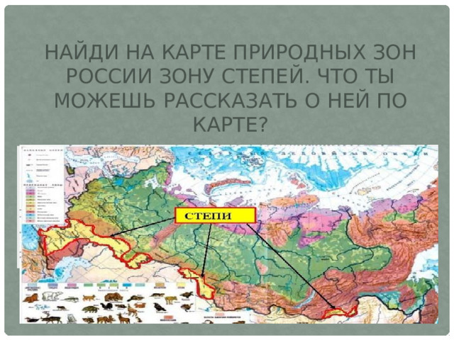 Найди на карте природных зон России зону степей. Что ты можешь рассказать о ней по карте? 