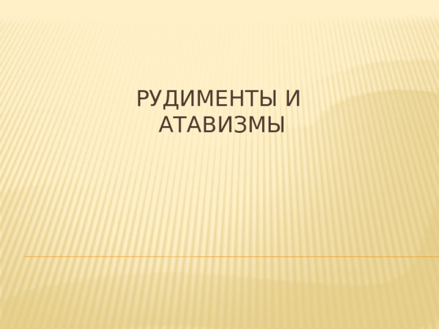 Рудименты и  атавизмы    