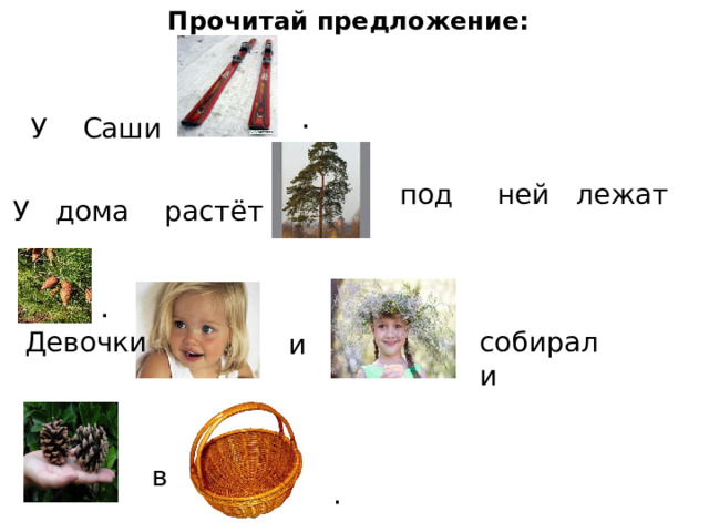 Прочитай предложение: . У Саши   под ней лежат  У дома растёт .   и  Девочки собирали   в . 