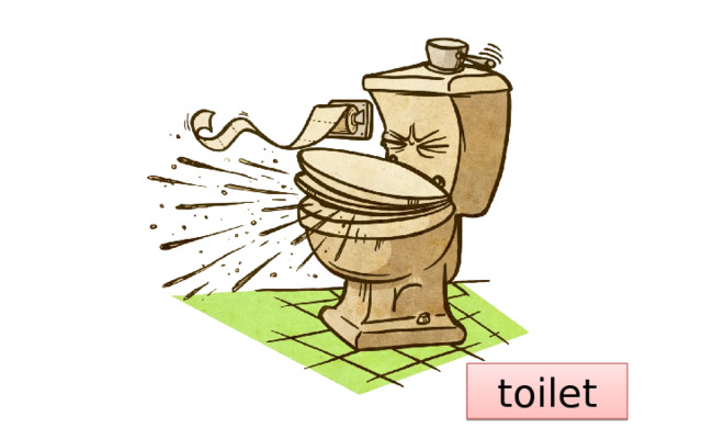toilet 