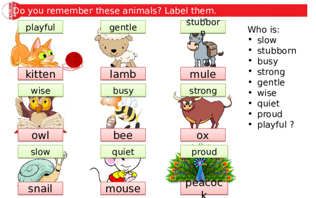 Do you remember these animals? Label them. playful gentle stubborn Who is: slow stubborn busy strong gentle wise quiet proud playful ? kitten lamb mule busy wise strong bee ox owl slow quiet proud peacock mouse snail 
