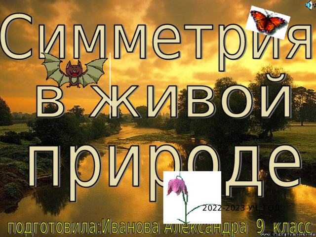 2022-2023 УЧ. ГОД 