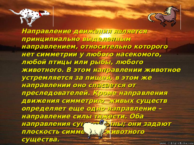Направление движения является принципиально выделенным направлением, относительно которого нет симметрии у любого насекомого, любой птицы или рыбы, любого животного. В этом направлении животное устремляется за пищей, в этом же направлении оно спасается от преследователей. Кроме направления движения симметрию живых существ определяет еще одно направление – направление силы тяжести. Оба направления существенны; они задают плоскость симметрии животного существа. 