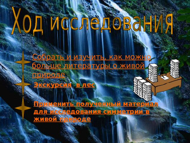 Собрать и изучить, как можно больше литературы о живой природе Экскурсия  в лес Применить полученный материал для исследования симметрии в живой природе 