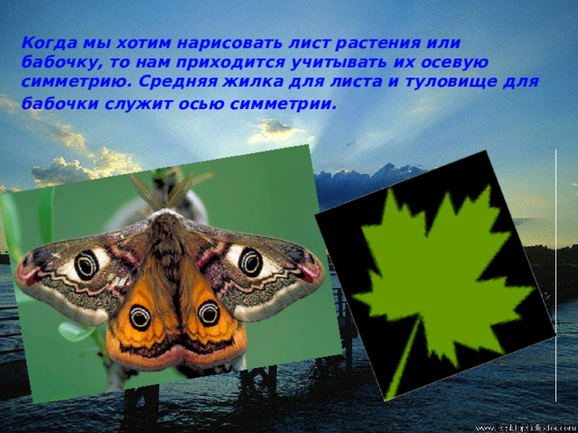 Когда мы хотим нарисовать лист растения или бабочку, то нам приходится учитывать их осевую симметрию. Средняя жилка для листа и туловище для бабочки служит осью симметрии.  