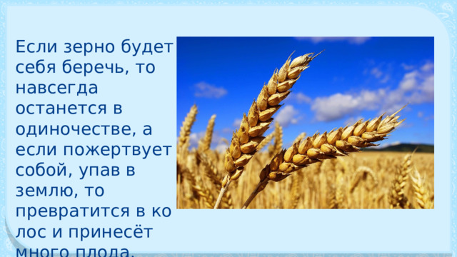 Если зерно будет себя беречь, то навсегда останется в одиночестве, а если пожертвует собой, упав в землю, то превратится в ко­лос и принесёт много плода. 