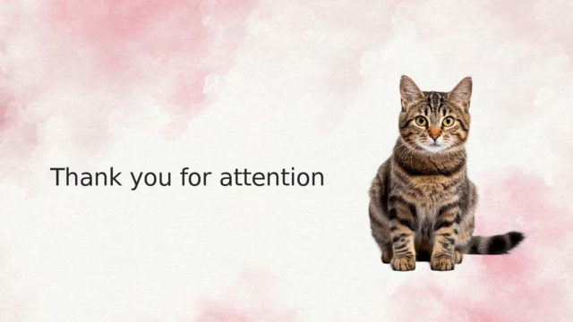 Thank you for attention 