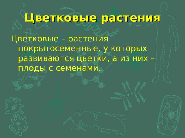 Цветковые растения Цветковые – растения покрытосеменные, у которых развиваются цветки, а из них – плоды с семенами. 