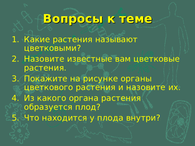 Вопросы к теме Какие растения называют цветковыми? Назовите известные вам цветковые растения. Покажите на рисунке органы цветкового растения и назовите их. Из какого органа растения образуется плод? Что находится у плода внутри? 