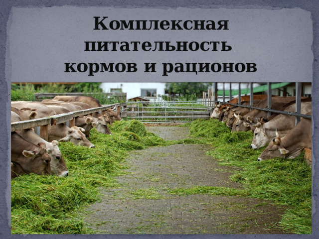Комплексная питательность  кормов и рационов 
