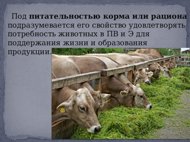  Под питательностью корма или рациона подразумевается его свойство удовлетворять потребность животных в ПВ и Э для поддержания жизни и образования продукции . 