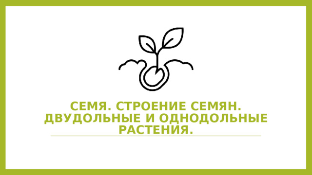 Семя. Строение семян. двудольные и однодольные растения. 