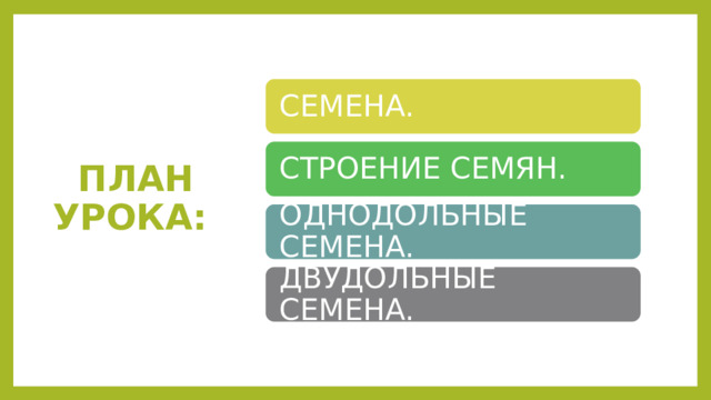 ПЛАН УРОКА: СЕМЕНА. СТРОЕНИЕ СЕМЯН. ОДНОДОЛЬНЫЕ СЕМЕНА. ДВУДОЛЬНЫЕ СЕМЕНА. 