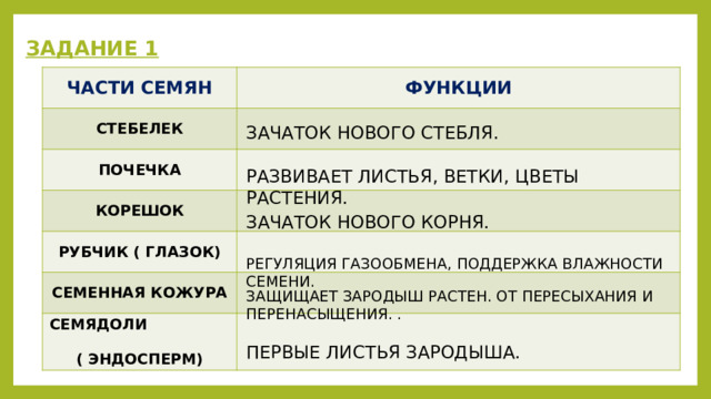ЗАДАНИЕ 1 ЧАСТИ СЕМЯН ФУНКЦИИ СТЕБЕЛЕК ПОЧЕЧКА КОРЕШОК РУБЧИК ( ГЛАЗОК) СЕМЕННАЯ КОЖУРА СЕМЯДОЛИ ( ЭНДОСПЕРМ) ЗАЧАТОК НОВОГО СТЕБЛЯ. РАЗВИВАЕТ ЛИСТЬЯ, ВЕТКИ, ЦВЕТЫ РАСТЕНИЯ. ЗАЧАТОК НОВОГО КОРНЯ. РЕГУЛЯЦИЯ ГАЗООБМЕНА, ПОДДЕРЖКА ВЛАЖНОСТИ СЕМЕНИ. ЗАЩИЩАЕТ ЗАРОДЫШ РАСТЕН. ОТ ПЕРЕСЫХАНИЯ И ПЕРЕНАСЫЩЕНИЯ. . ПЕРВЫЕ ЛИСТЬЯ ЗАРОДЫША. 
