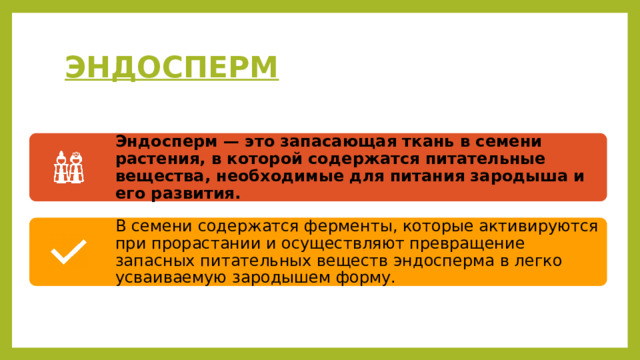 ЭНДОСПЕРМ Эндосперм — это запасающая ткань в семени растения, в которой содержатся питательные вещества, необходимые для питания зародыша и его развития. В семени содержатся ферменты, которые активируются при прорастании и осуществляют превращение запасных питательных веществ эндосперма в легко усваиваемую зародышем форму. 