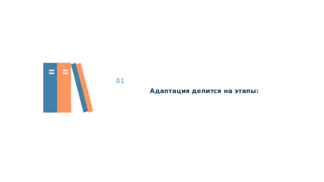 01 Адаптация делится на этапы: 