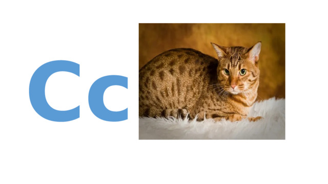 Cc  